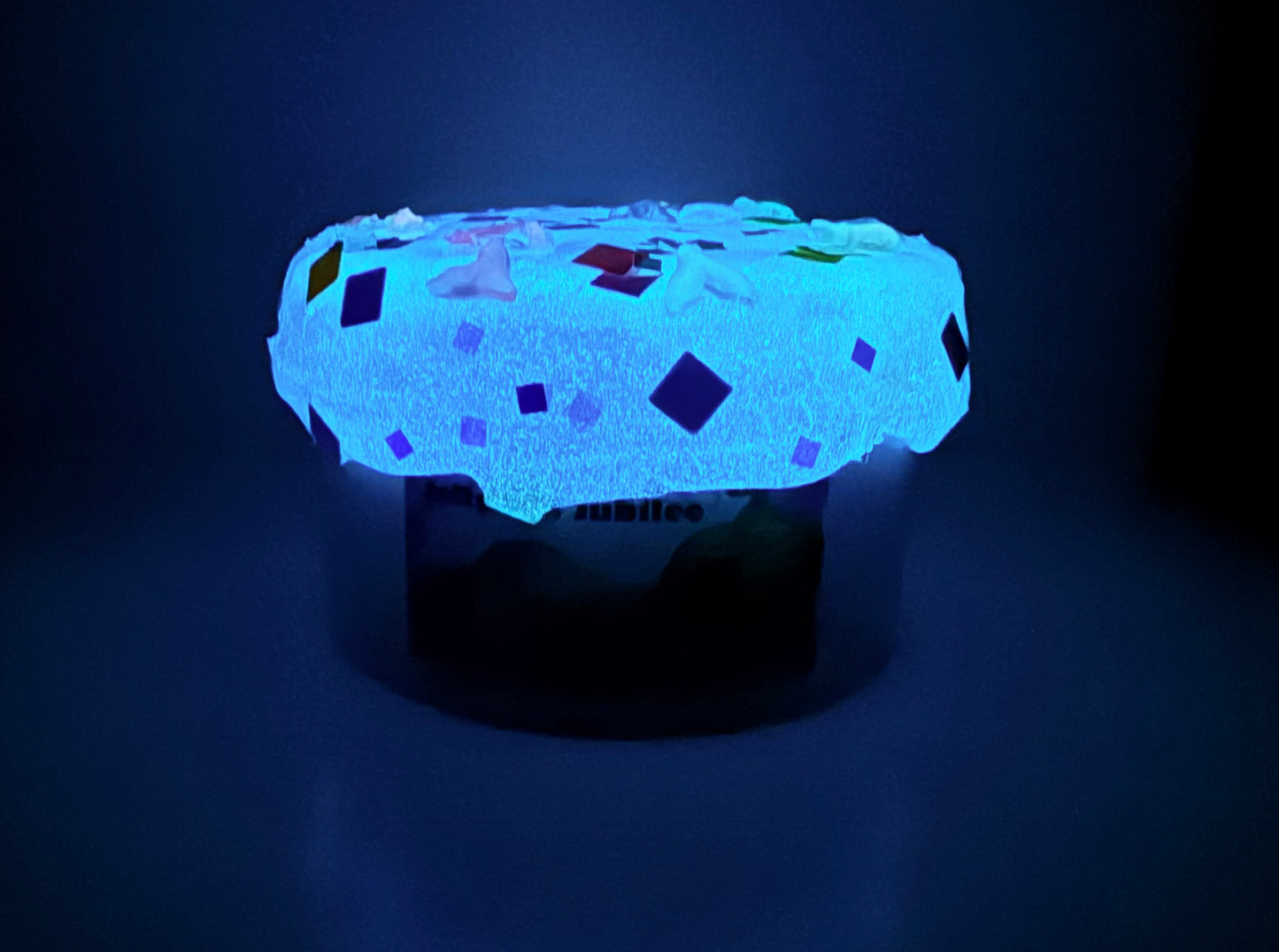 Jellyfish Jubilee