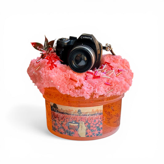 Pictures in the Paintbrushes