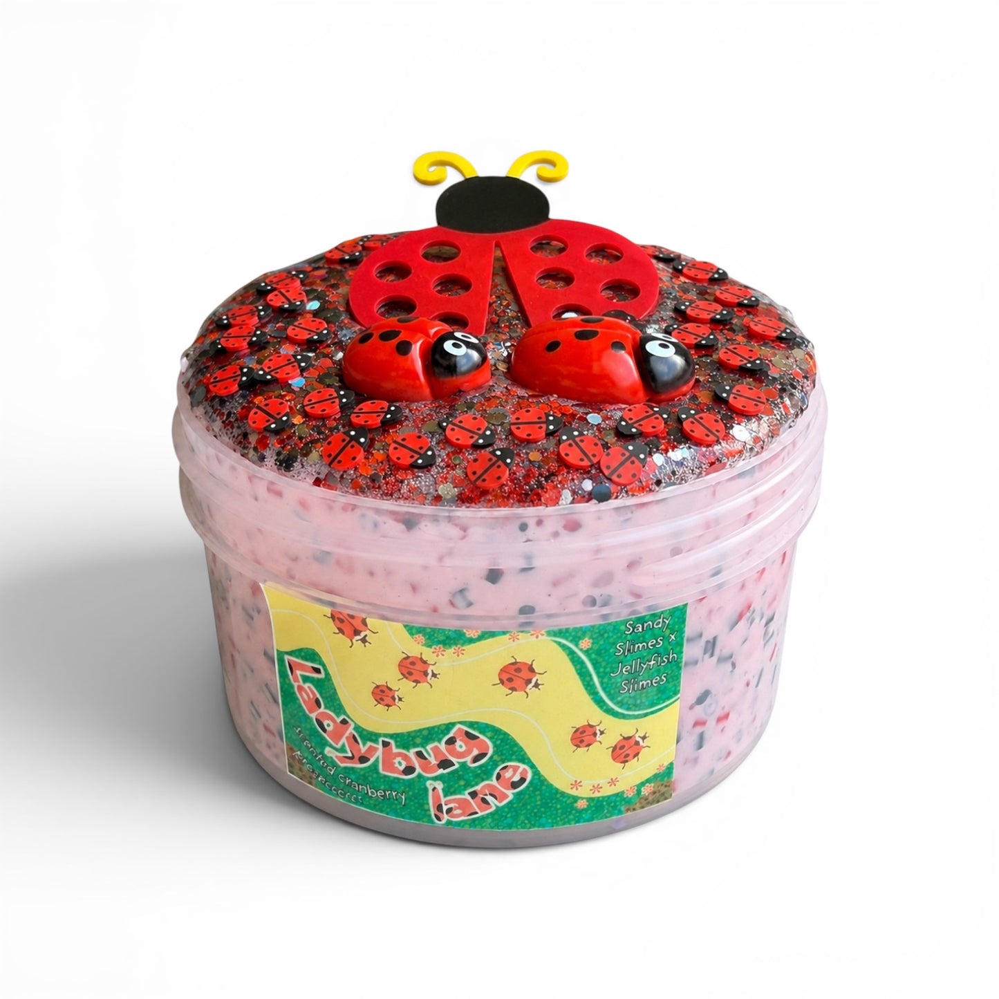 Ladybug Lane