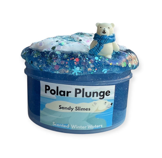 Polar Plunge