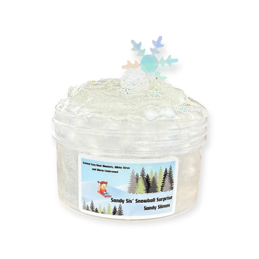 Sandy Sis’ Snow Day